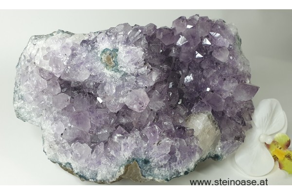 Amethyst Kristall mit Rosetten